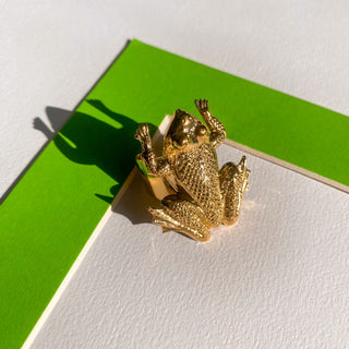 Bague grenouille Eole