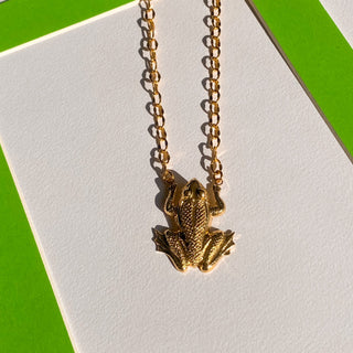 Zoom sur le collier grenouille doré 